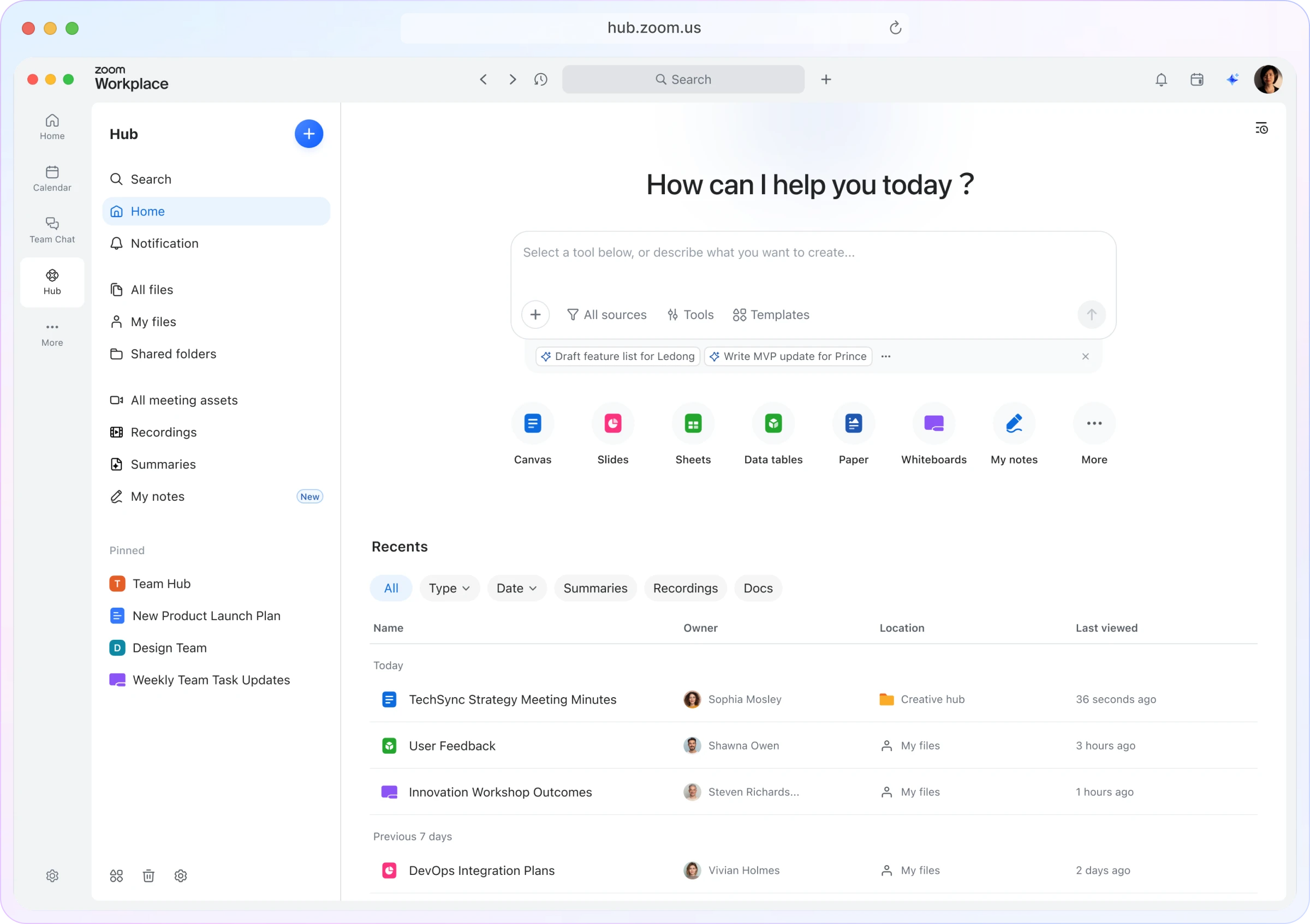 Zoom Hub interface preview